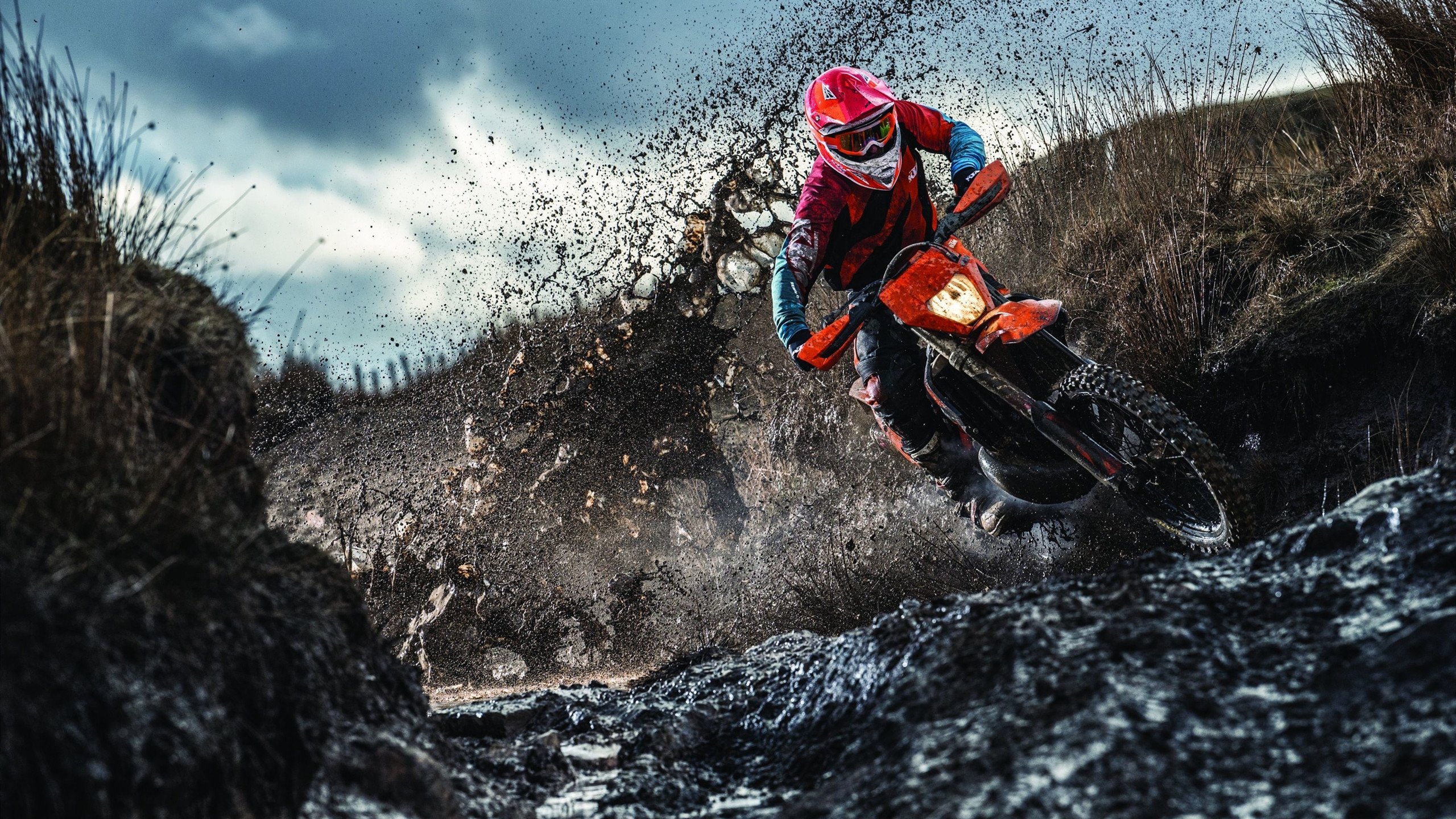 乒乓球赛事全球推广，乒乓球推广大使